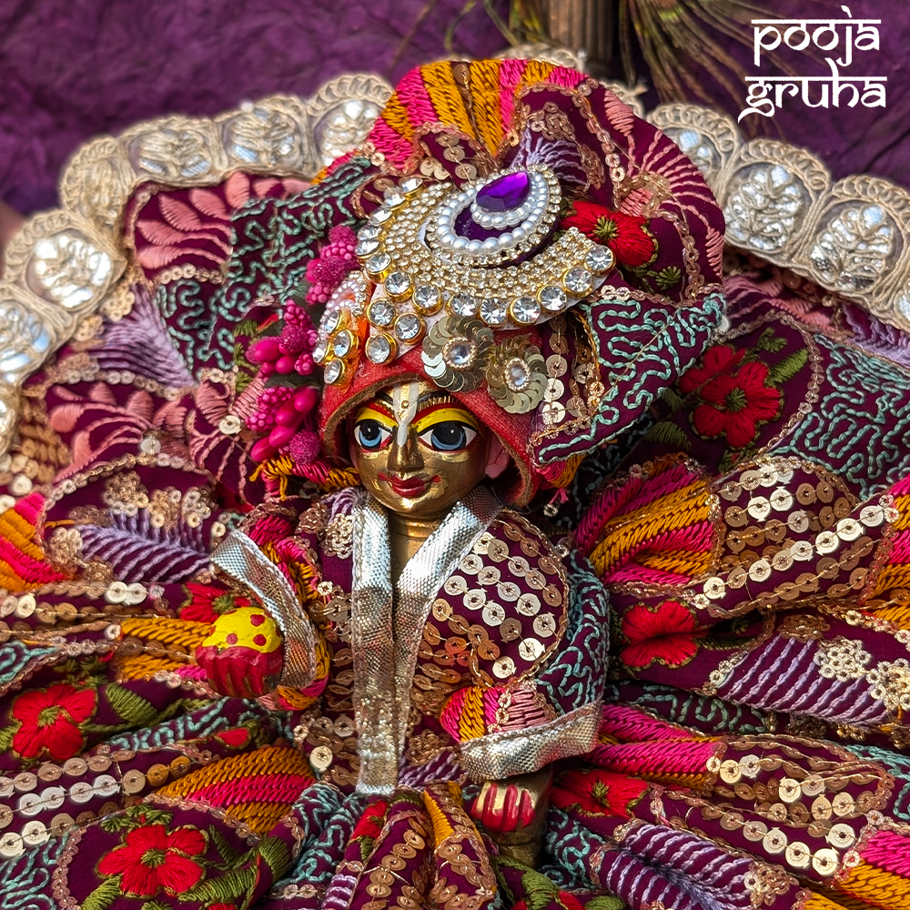 Rajnidhi Laddu Gopal Dress