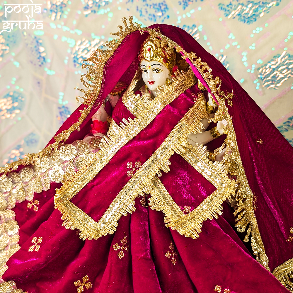 Raktima Mata Rani Ji Velvet Dress