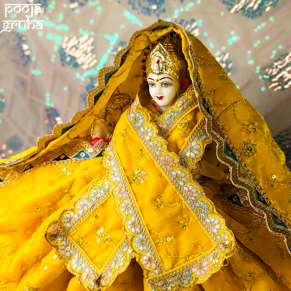 Kanakavarna Mata Rani Ji Velvet Dress