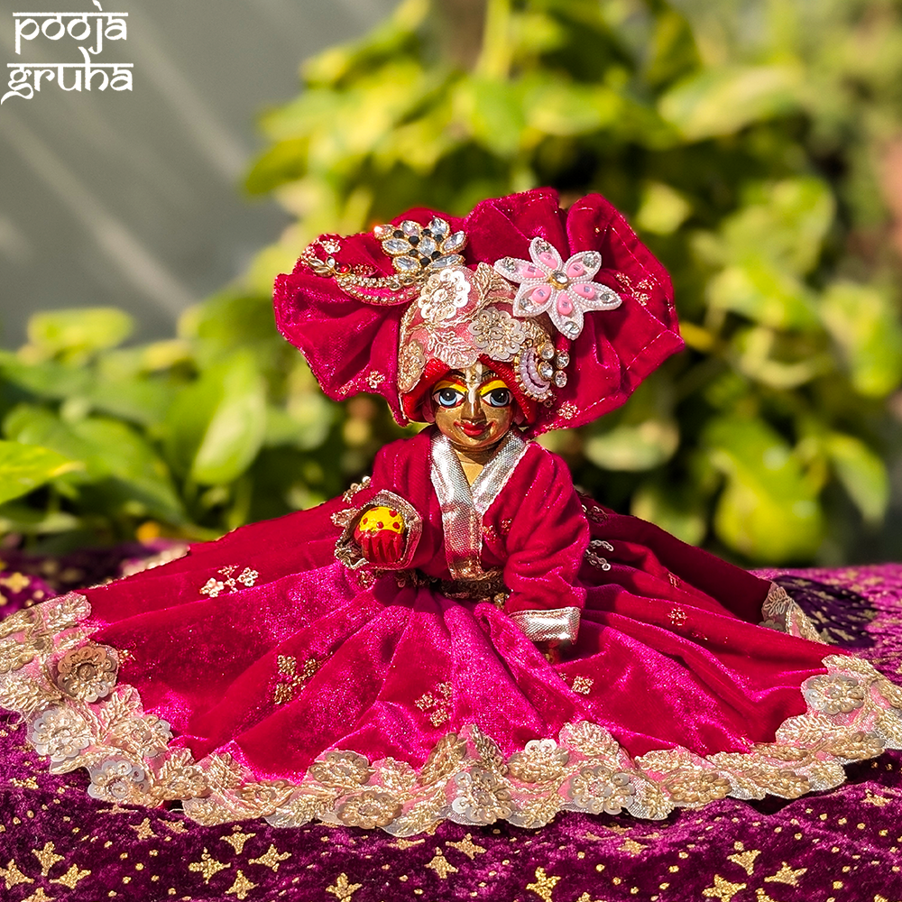 Raktima Laddu Gopal Velvet Dress